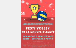 Festi'Volley de la Nouvelle Année